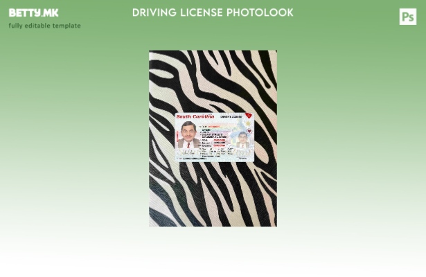 модерен стил на Соединетите Американски Држави Јужна Каролина возење ( – сегашен